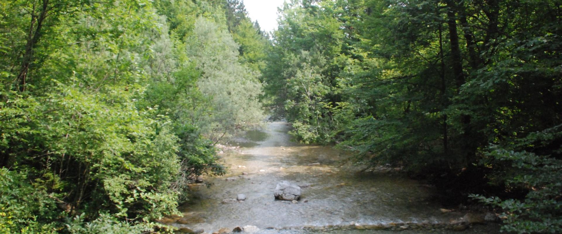 Iški Vintgar Gorge