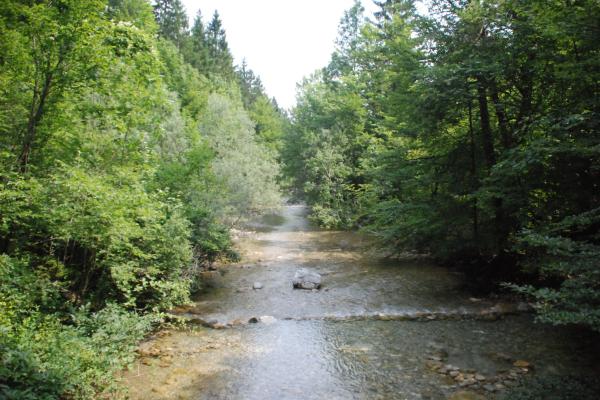 Iški Vintgar Gorge
