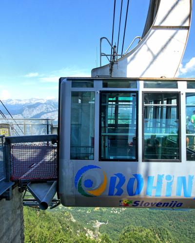Bohinj (35679927621)