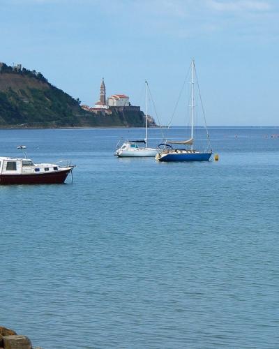 Piran, view from Nature park Strunjan, Slovenia