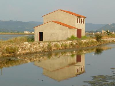 Sečovlje