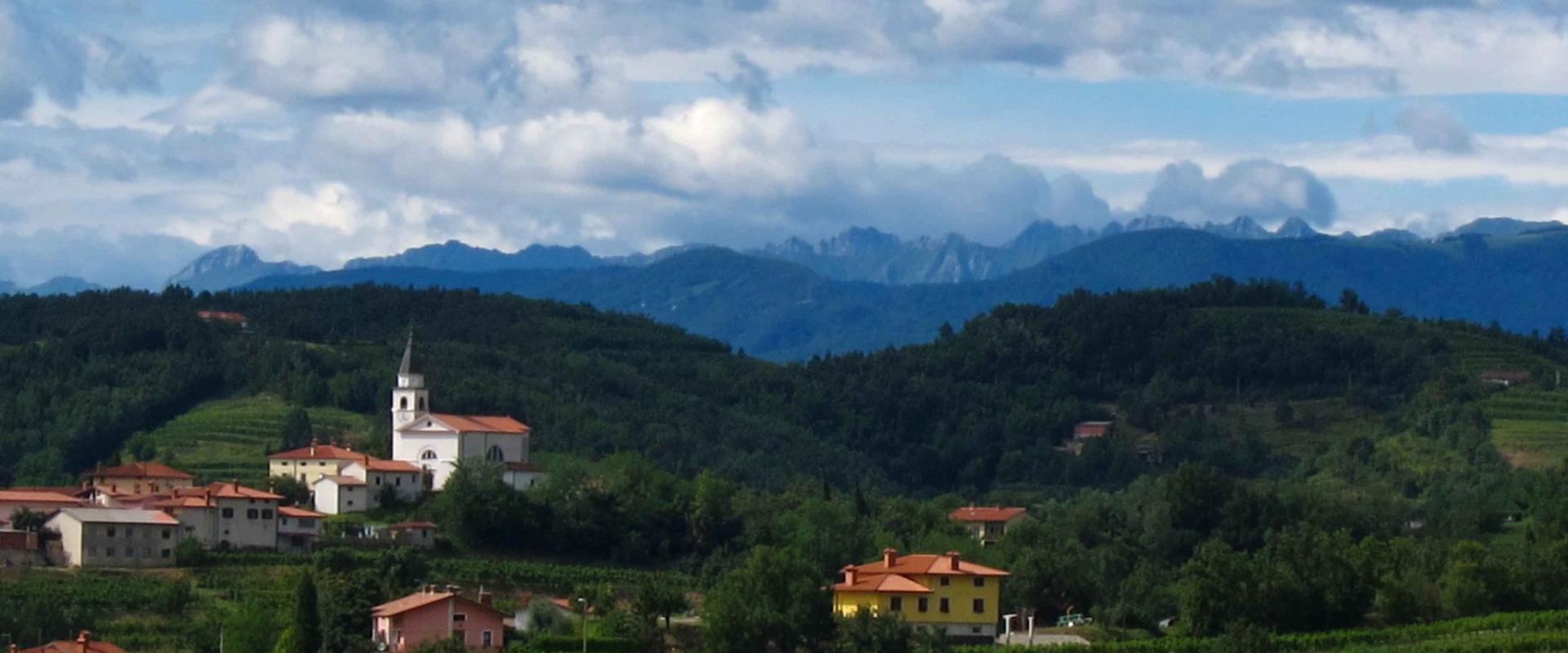 Vineyards of Goriška Brda