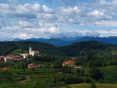 Goriška Brda, Slovenia vineyards