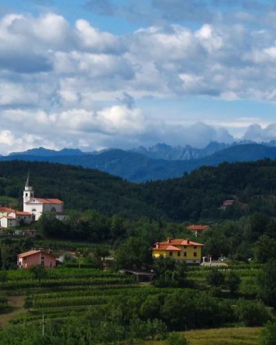 Goriška Brda, Slovenia vineyards