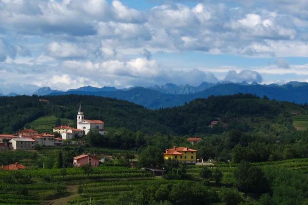 Vineyards of Goriška Brda