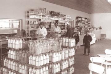 Prodajalna mleka in mlečnih izdelkov v trgovskem paviljonu na Pobrežju 1962