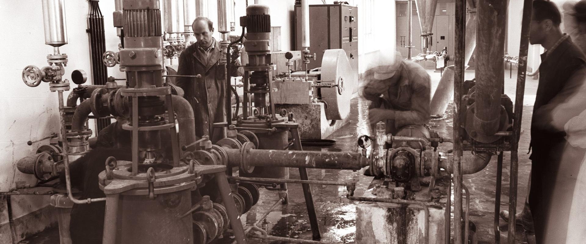 Tovarna Zlatorog 1961 (2)