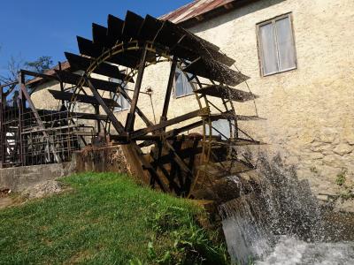 Vinica