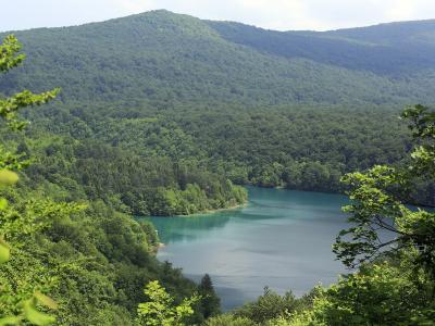 A view of a turquoise reservoir surrounded by dense green forest and rolling hills, framed by foliage in the foreground.