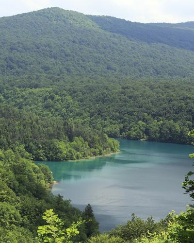 A view of a turquoise reservoir surrounded by dense green forest and rolling hills, framed by foliage in the foreground.