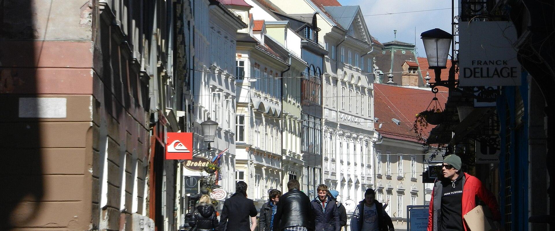 Slovenian Language