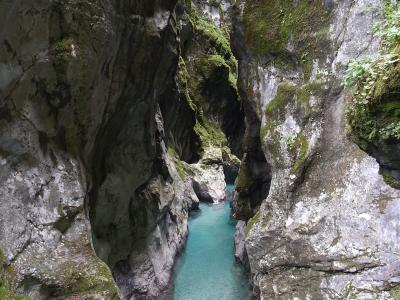A narrow limestone gorge with steep, moss-covered rock walls enclosing a stream of clear, turquoise water flowing over a rocky bed.