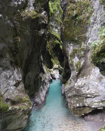 A narrow limestone gorge with steep, moss-covered rock walls enclosing a stream of clear, turquoise water flowing over a rocky bed.
