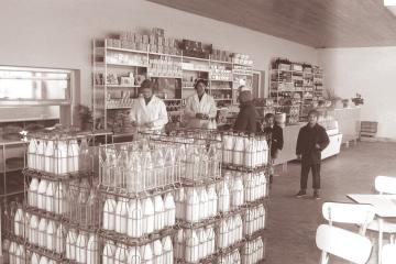 Prodajalna mleka in mlečnih izdelkov v trgovskem paviljonu na Pobrežju 1962
