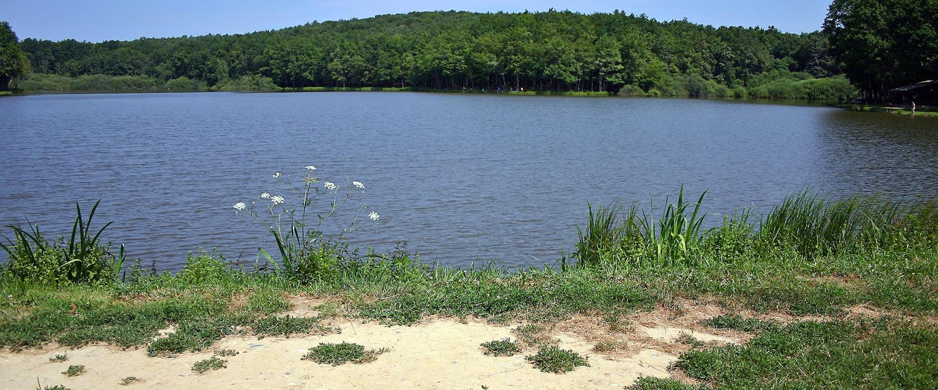 Bukovniško jezero