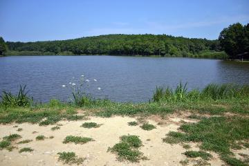 Bukovniško jezero