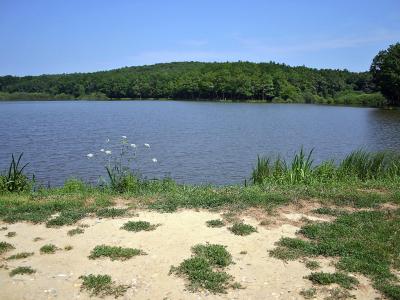 Bukovniško jezero
