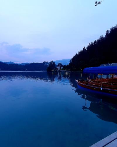 Bled Castle and Pletna Boats, Mlino Bled