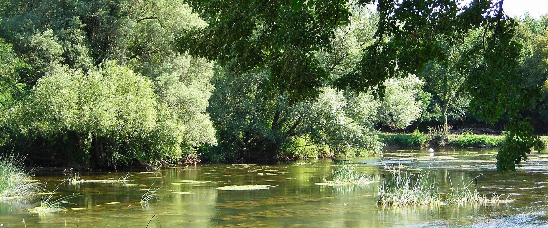 Brestanica river
