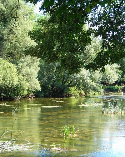 Otočec, fiume 8