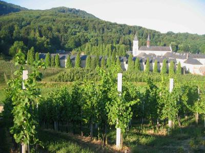 The Pleterje Carthusian monastery among its vineyards