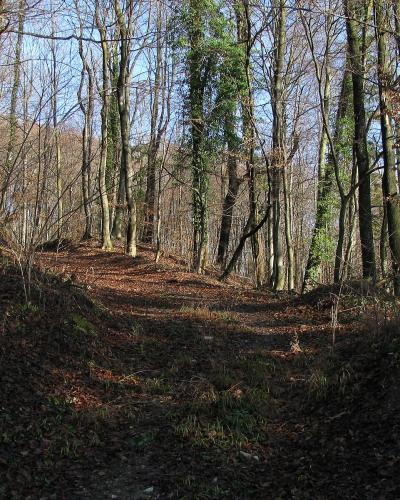 Pišece (4217887829)
