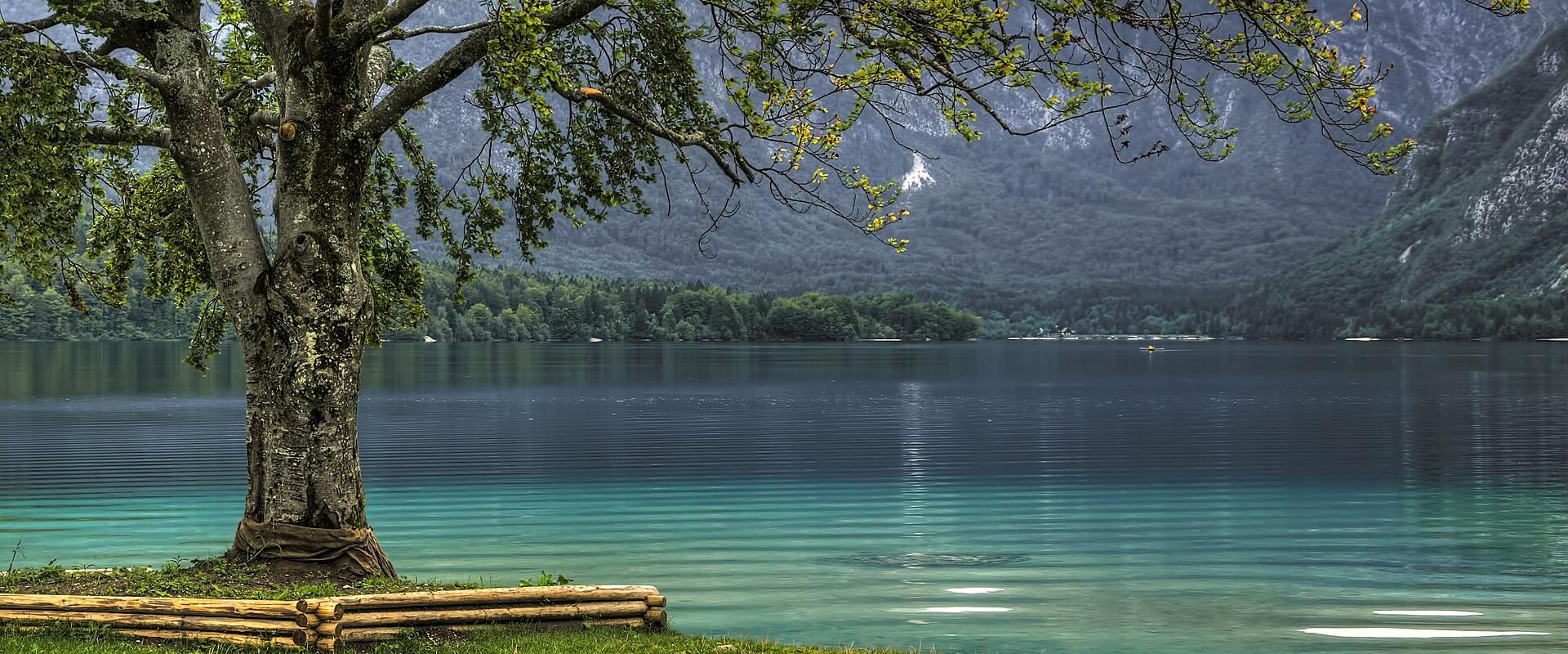 The clear turquoise water of Lake Bohinj on a summer day