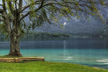 Bohinj