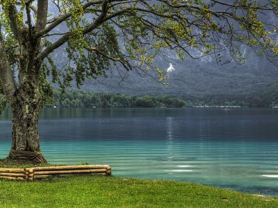 Bohinj