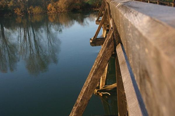 Dragonja River