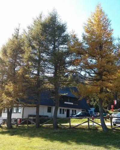A white building with a dark roof partially obscured by tall trees with yellowing foliage, featuring a sign above the entrance that reads "RUŠKA KOČA" and several cars parked in front.