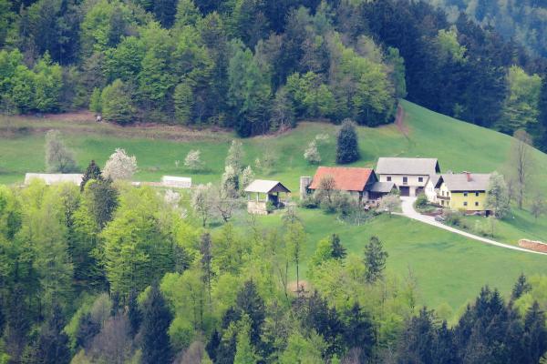 Spomenik na Gricku