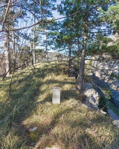 A concrete boundary stone stands in a grassy, wooded clearing next to a rocky embankment and a paved road, with pine trees surrounding the area.