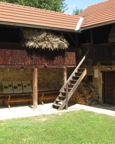 The traditional Šokčev dvor farmstead courtyard in Žuniči