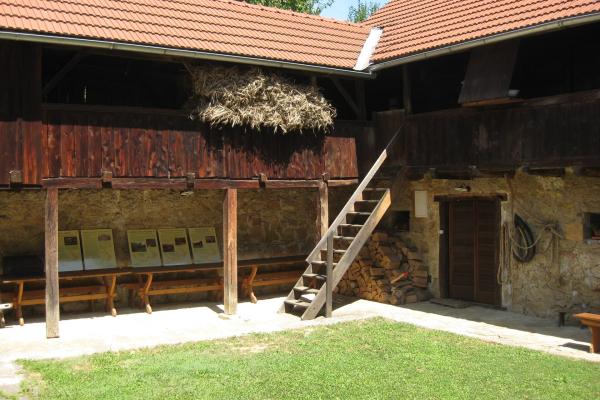 Šokčev Dvor in Žuniči