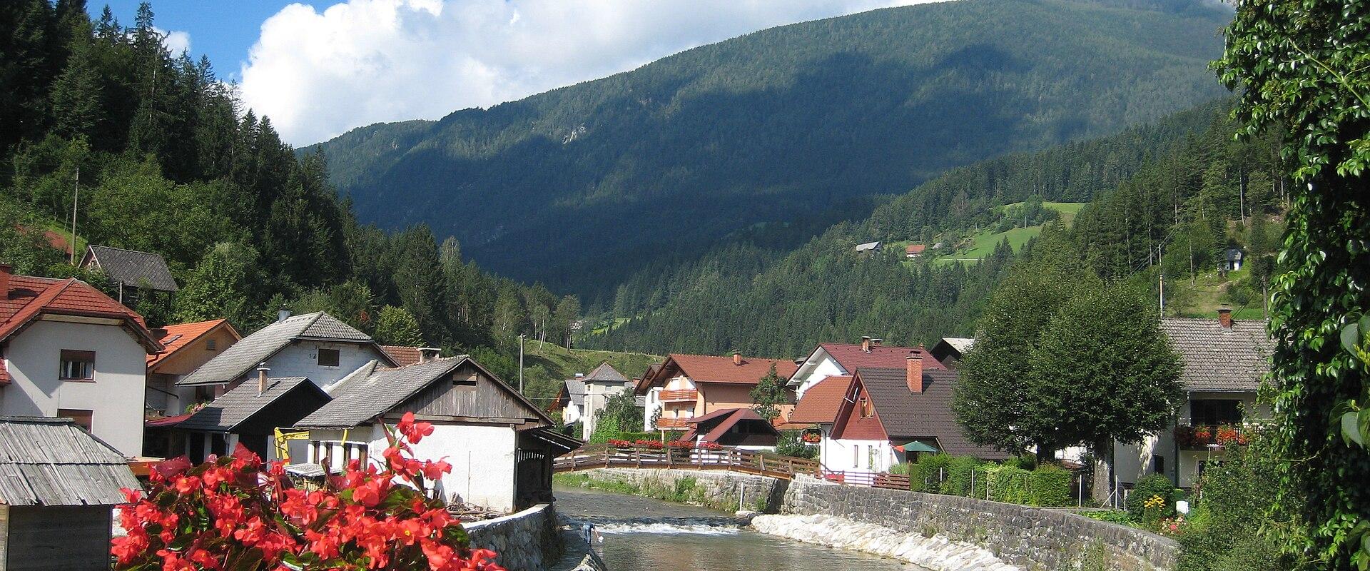 The Savinja river below Luče village