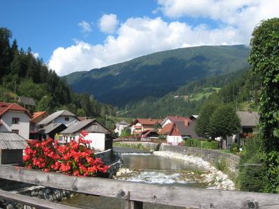 The Savinja river below Luče village