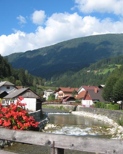 The Savinja river below Luče village