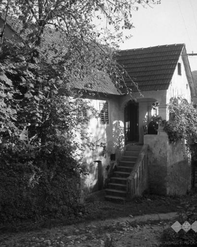A black and white photograph of a traditional rural house with a tiled roof, external stone staircase leading to an arched entrance, and dense vegetation surrounding the structure.