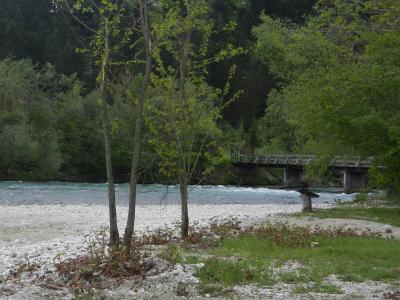 A river with a rocky bank in the foreground and a wooden footbridge crossing the water in the background, surrounded by dense green trees.