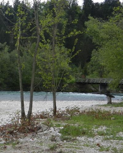 A river with a rocky bank in the foreground and a wooden footbridge crossing the water in the background, surrounded by dense green trees.