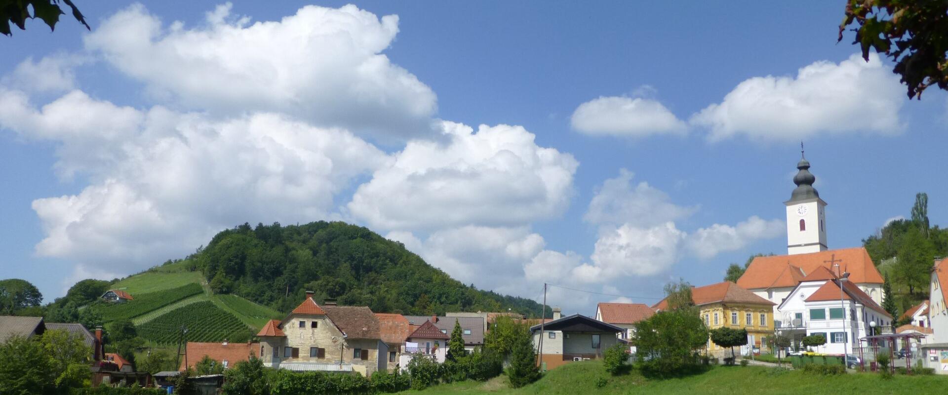 Vineyards Near Maribor