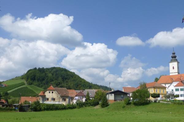 Vineyards Near Maribor