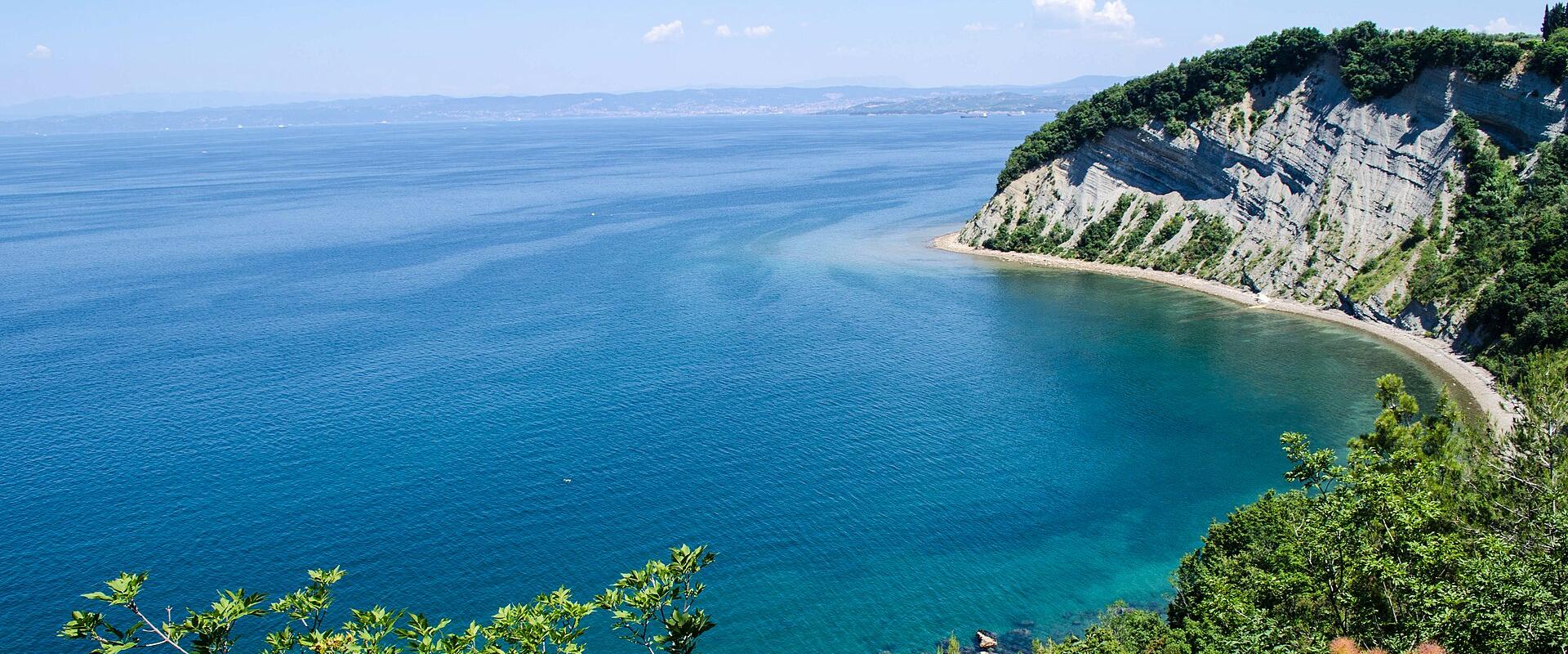 Strunjan Cliff