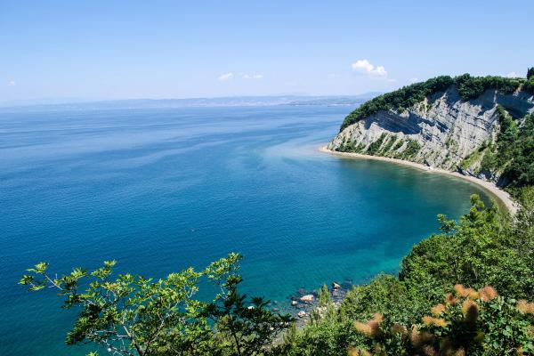 Strunjan Cliff