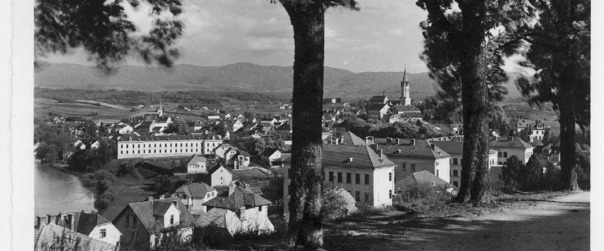 400-year-old linden tree (on Trška Gora Hill)