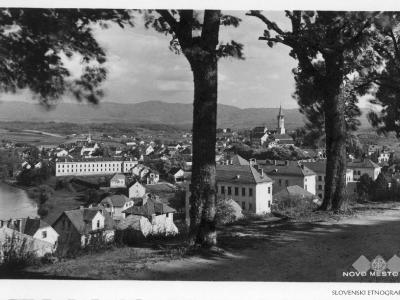 A black and white photograph showing a panoramic view of a town from an elevated position, framed by large tree trunks in the foreground, with a river on the left and a prominent church tower in the distance.