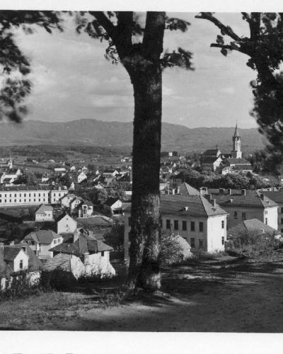 A black and white photograph showing a panoramic view of a town from an elevated position, framed by large tree trunks in the foreground, with a river on the left and a prominent church tower in the distance.