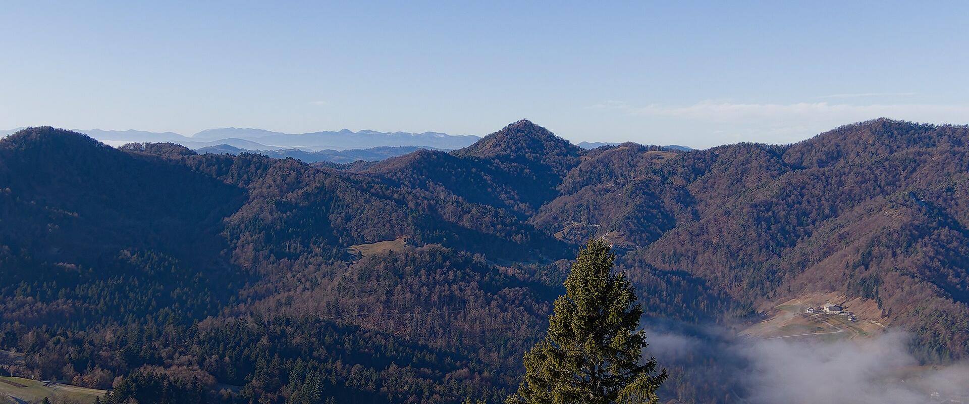 Polhograjska Grmada (898 m)