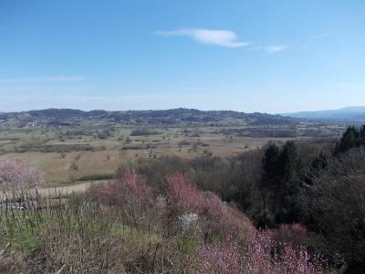 Flowering hedges and meadows of the Jovsi wetland landscape